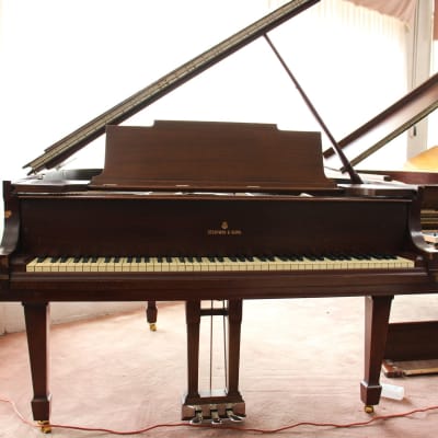 Steinway & Sons 5'7" Model M Grand Piano Rosewood | SN: 231706 image 2