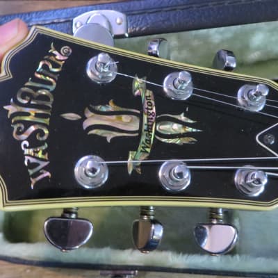 Washburn Washington J9 Hollow Body Electric Guitar w/ OHSC Super Rare Silver Sparkle Finish image 3