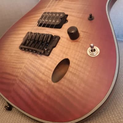 数量限定発売 Ibanez Iron Label S Series SIX6FDFM - 楽器/器材