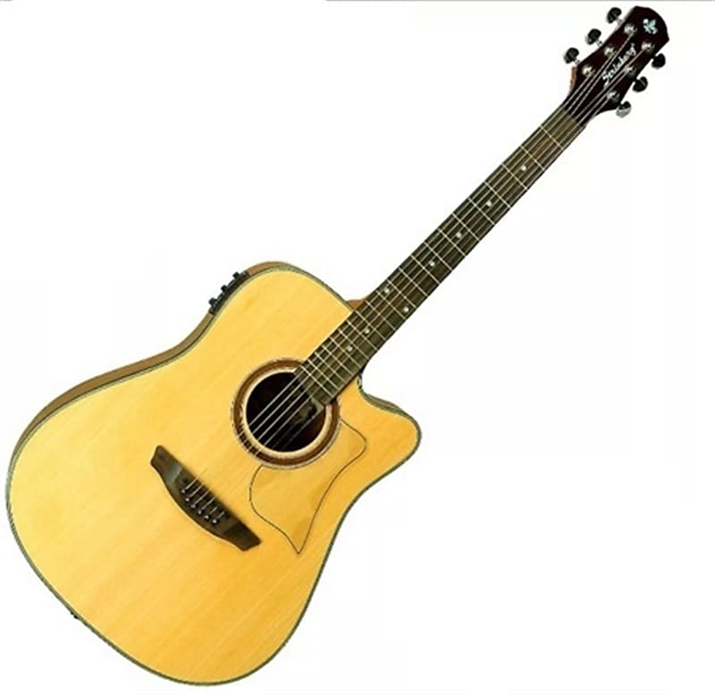 Acoustic Electric Guitar w/ BuiltIn Preamp & Tuner + Free Reverb