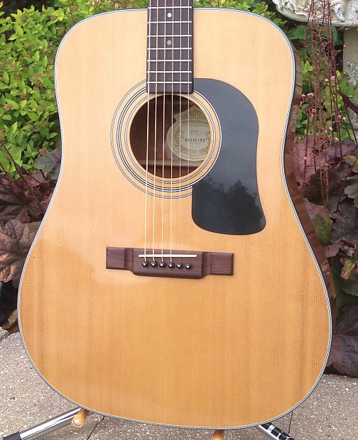 Washburn d10 clearance price