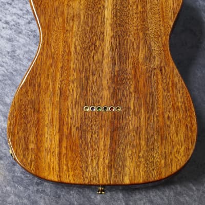FREEDOM CUSTOM GUITAR RESEARCH BROWN PEPPER Premium Grade Flame Maple Top ~清流(Seiryu) Gradation~ #23011158P≒2.73㎏[One off model][Made in Japan] image 9