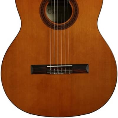 Cordoba C5 CD Classical Guitar Cedar/Mahogany image 2