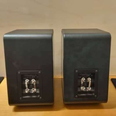 SONUS FABER Chameleon B 2015 - Black image 3