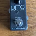 TC Electronic  Ditto looper  xlnt