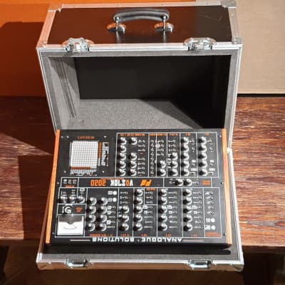 Analogue Solutions Vostok 2020 with custom made flight case image 16