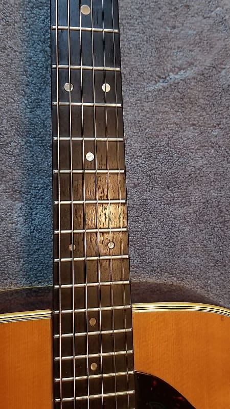 Elite Takamine TW-25 アコースティックギター Elite Takamine TW-25 アコースティックギター Elite by