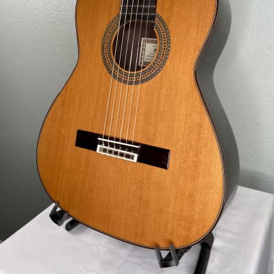 Esteve Alegria Classical Guitar Cedar & Indian Rosewood w/case *made in Spain image 2