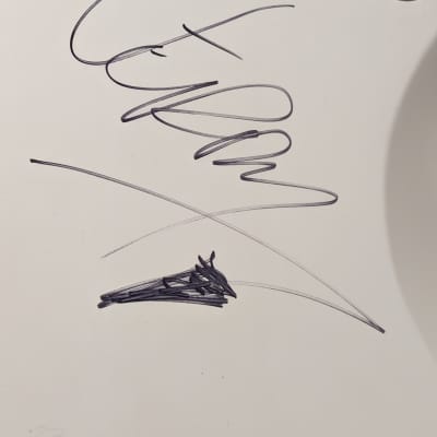 AUTOGRAPHED Schecter Jerry Horton Signature Tempest 2015 - Satin White image 6
