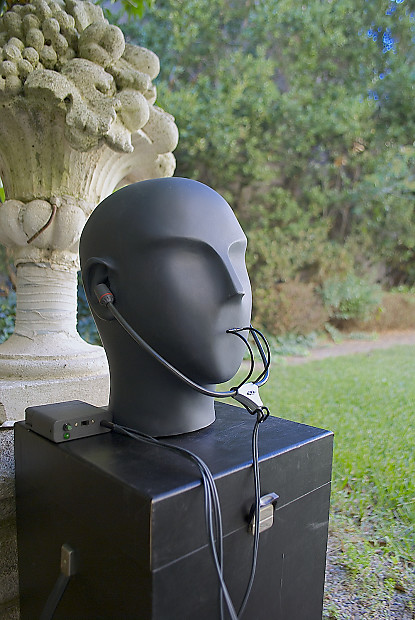Sennheiser binaural head store
