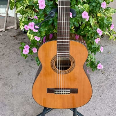 Shinano Model No. 100 1960s RARE Classical Guitar for sale