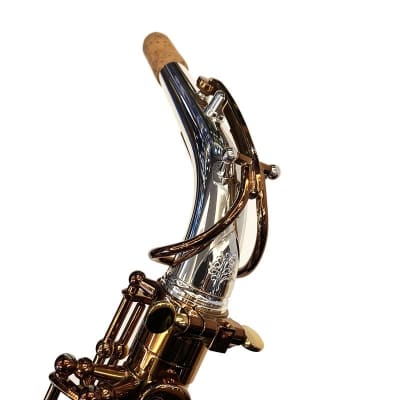 FORESTONE Alto Saxophone Forestone GX COLORS image 2