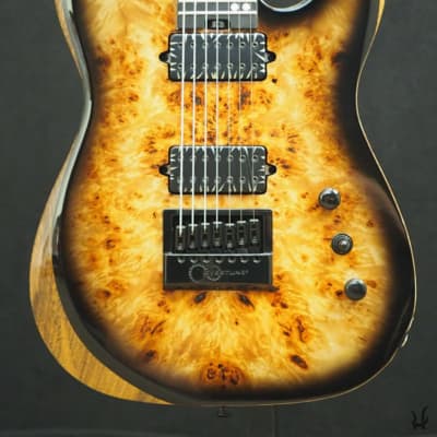 Halo Guitars SALVUS 7-string (27