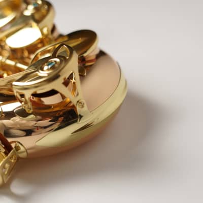 [In Stock]_Freeshipping! Yanagisawa Alto saxophone A WO-2 [AWO2]Bronze Brass Body image 12