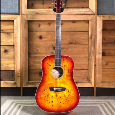 Washburn  Deep Forest Burl Dreadnought Acoustic Guitar in Amber Fade for sale