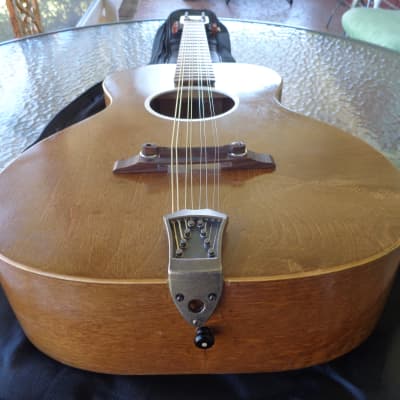 1960's Jackson Guldan Octave Mandolin / Double Irish Tenor Guitar - 24" Scale image 13