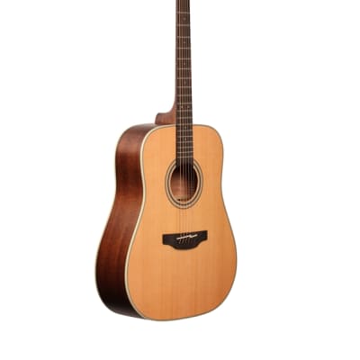 Takamine GD20 Dreadnought Acoustic Guitar image 8