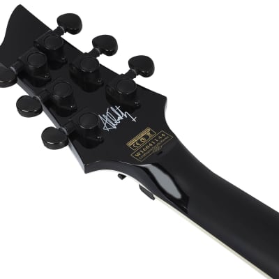 Schecter RavenDark FR Abbath Signature Guitar, 287 image 11