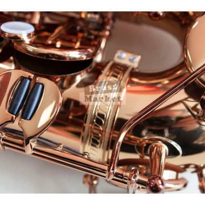 Saxo alto Wood Stone Ishimori Super Custom VL image 16