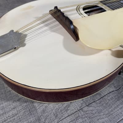 Gibson A-3 Mandolin 1920 - White image 5