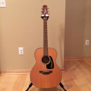 Dealer Closeout: TAKAMINE P1M Acoustic Electric Guitar (OM Body) image 2