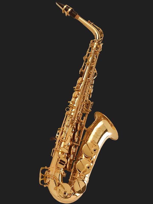 Cannonball Alcazar Premium Student Alto Sax Outfit image 1