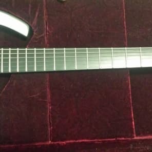 Parker Adrian Belew Signature Fly (Not DF842)  Arctic Silver Guitar/ SUPER rare BEAUTY image 7