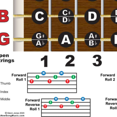Laminated 8.5x11 Dobro G Tuning Resonator Chord Poster Chart | Reverb