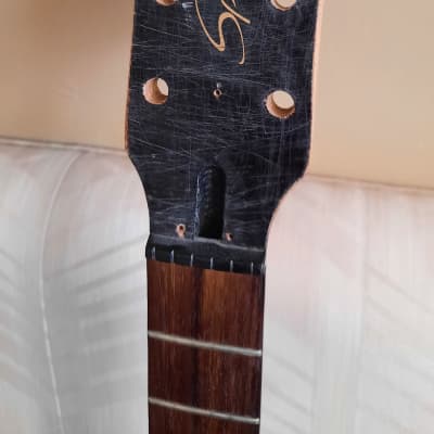Epiphone special neck relic project image 1
