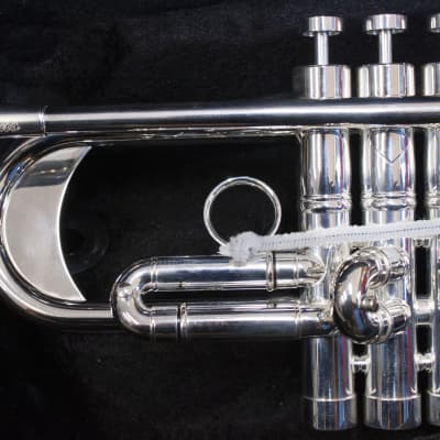 Trompeta Apolo Trumpet «Latino» Plateada image 5