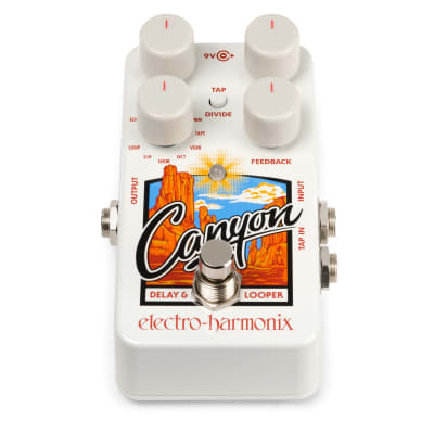 Electro-Harmonix EHX Canyon Delay & Looper Effects Pedal image 2