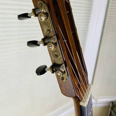 Paul McGill Resonator Guitar Del Vecchio Style image 8
