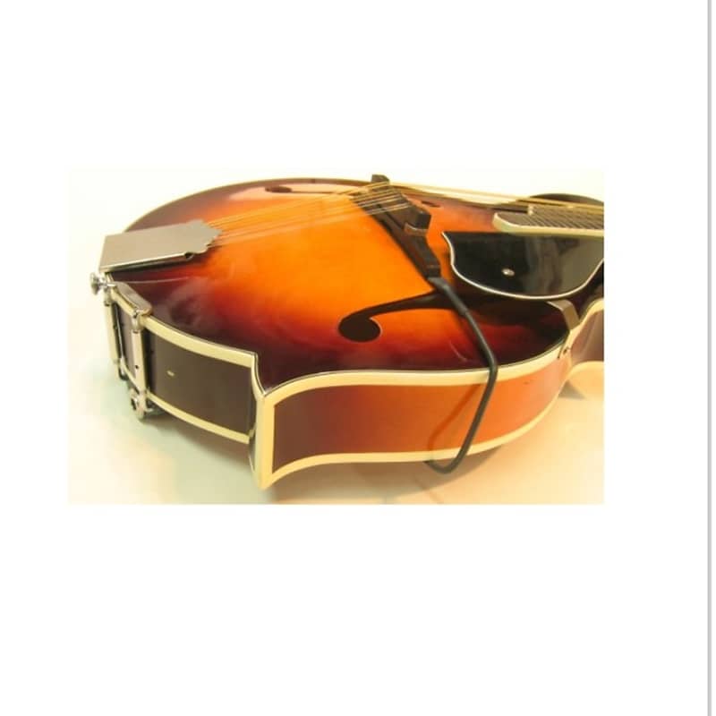 The Realist RLSTMS2 Copperhead Mandolin Pickup 2 Foot Reverb