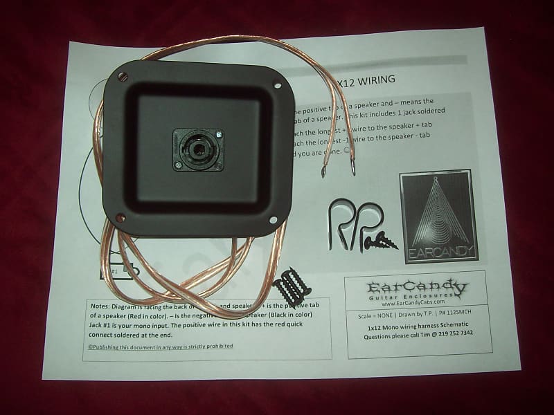 EarCandy 1x8 10 12 15 18 Bass guitar speaker cab Lichtenstein Neutrik Speakon & 1/4 combo input jack image 1