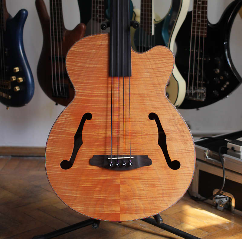 Aria FEB-F2 Acoustic Fretless Bass; Beautiful figured wood
