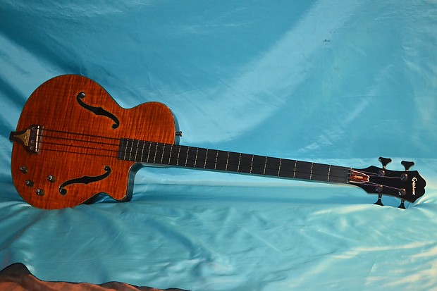 Epiphone Zenith Fretless Bass, Stereo Outputs, Gig Bag