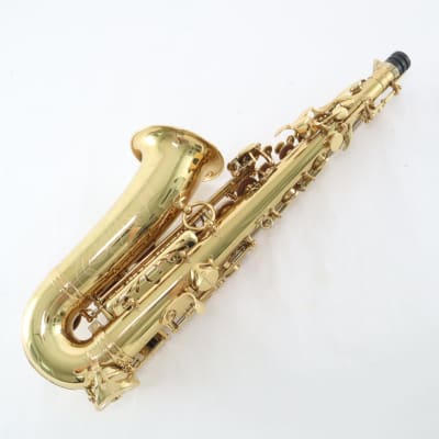 Eastman Model EAS850 Professional Alto Saxophone 'Rue Saint-Georges' GORGEOUS image 9