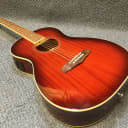 NEW Ibanez PN12E-VMS Acoustic/electric Parlor Guitar