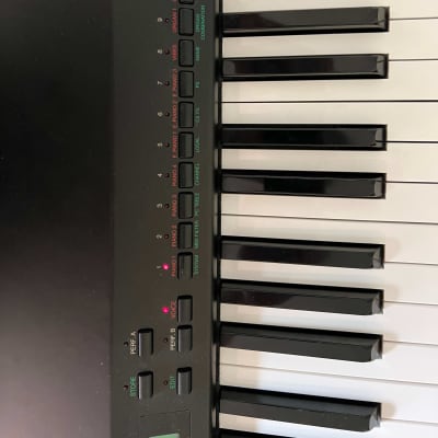 Yamaha  P-150 Digital Piano image 5