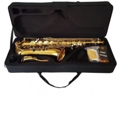 Grassi SST900 Sax Tenore Bb con Custodia image 2