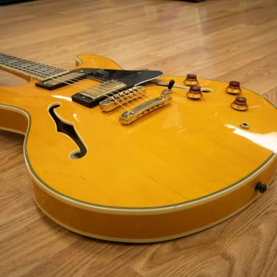 【値下げ交渉可】ARIAPROII TA62C（弦高調整済み） Aria Pro II TA-62 Semi-Hollow Electric Guitar w/ Case (Very