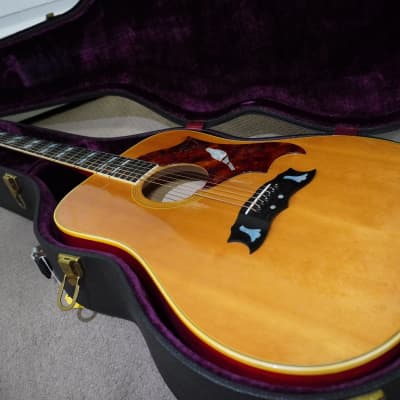 1973 Gibson Dove for sale