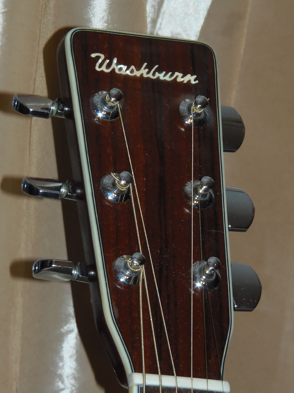 Washburn W-300