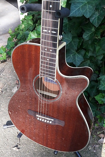 Ibanez aeg1211 new arrivals