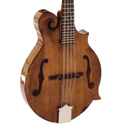 Barnes and Mullins Salvino BM650 Mandolin for sale