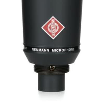 Neumann TLM 193 Large-diaphragm Condenser Microphone image 8
