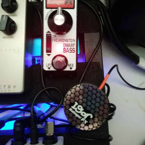 Rainger FX Dr. Freakenstein Dwarf Bass with Igor Pressure Pad Controller