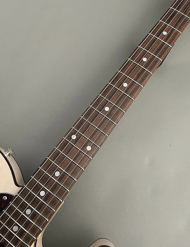 Tokai Contemporary Series 