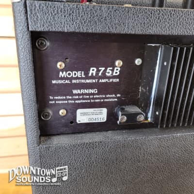 Rickenbacker R75B Combo Bass Amp image 7