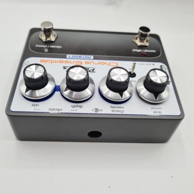 Past FX Chorus Ensemble MN3007 | Reverb